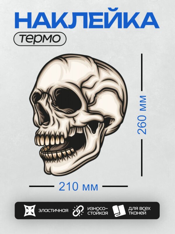 Термонаклейка на одежду DTF / Череп в графическом стиле с акцентом на зубы и глазницы.