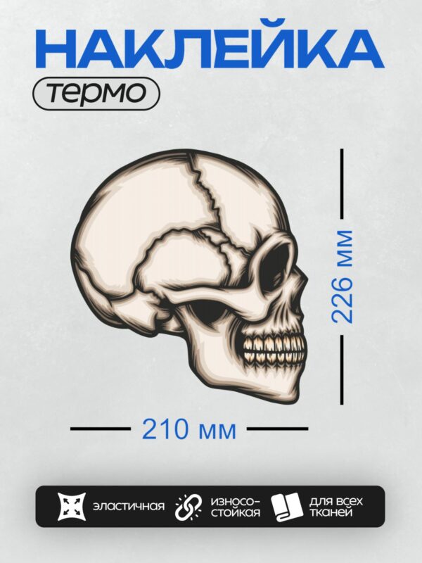 Термонаклейка на одежду DTF / Череп сбоку с трещиной на лбу.