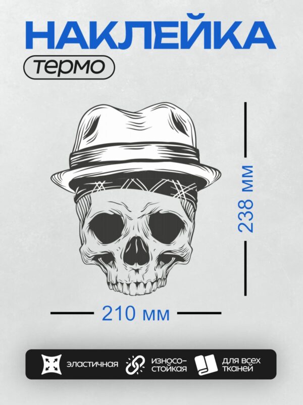 Термонаклейка на одежду DTF / Череп в шляпе, стилизованный черно-белый рисунок.