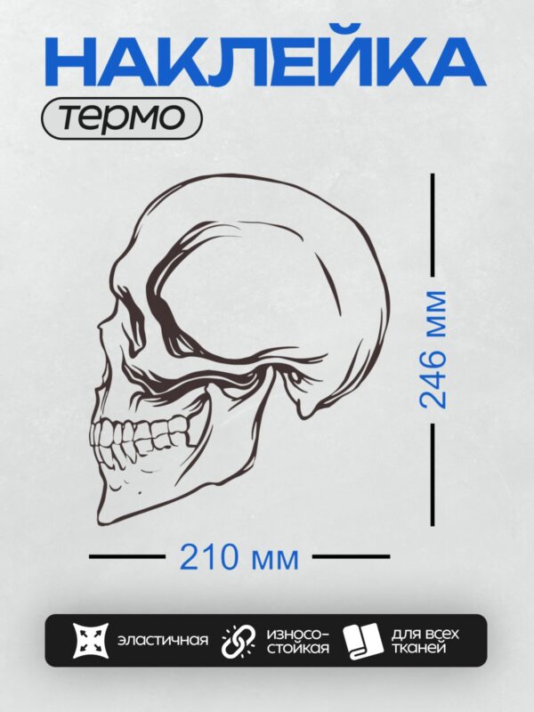Термонаклейка на одежду DTF / Череп сбоку, стилизованный линейный рисунок.