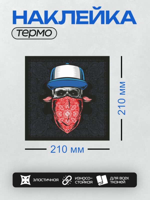 Термонаклейка на одежду DTF / Череп в бейсболке, красная бандана, узор пейсли.