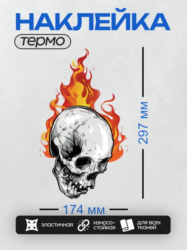 Термонаклейка на одежду DTF / Череп, окружённый ярким пламенем, в стиле тату.