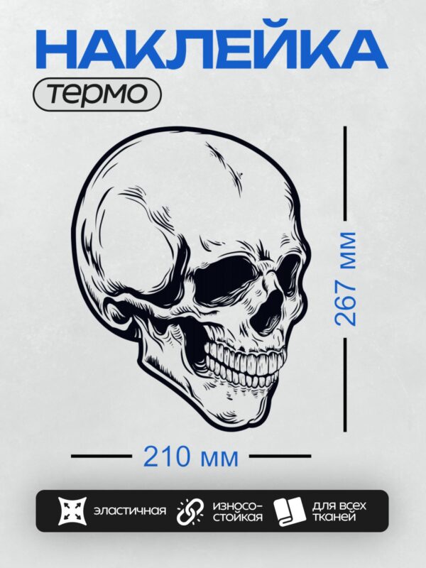 Термонаклейка на одежду DTF / Черно-белый череп с четкими линиями и деталями.