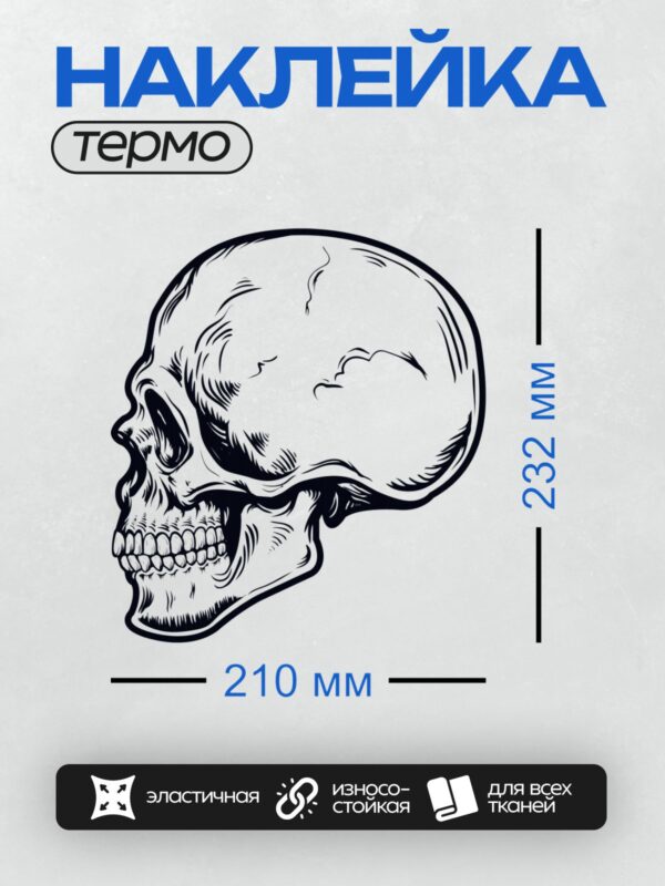 Термонаклейка на одежду DTF / Череп сбоку в стиле графического рисунка.