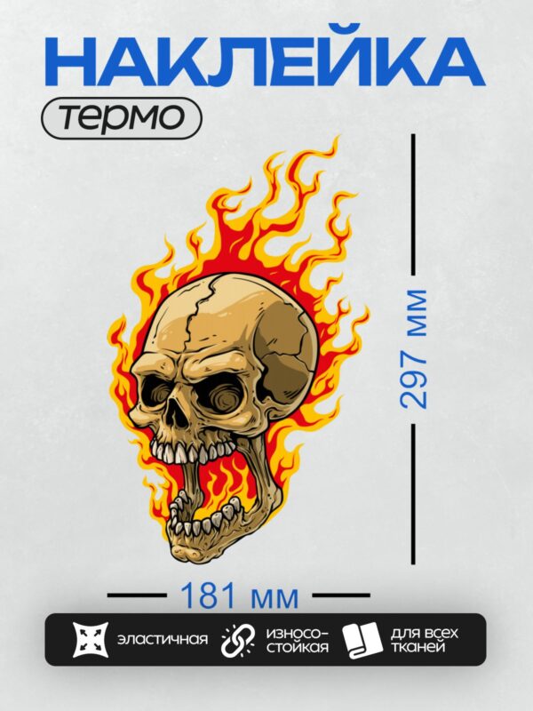 Термонаклейка на одежду DTF / Череп в окружении яркого пламени.