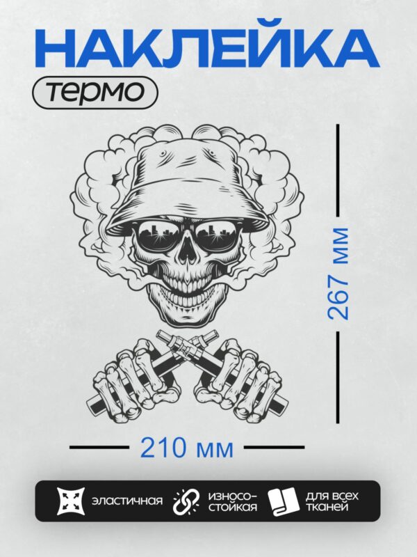 Термонаклейка на одежду DTF / Череп в панаме, очки, дым, скрещённые вейпы.