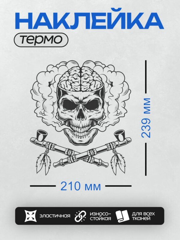 Термонаклейка на одежду DTF / Череп с мозгом, дым и скрещённые трубки.