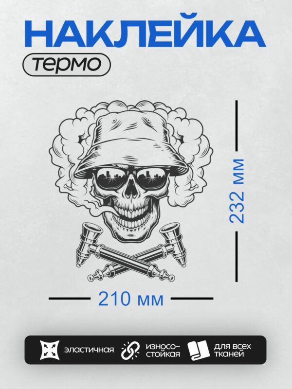 Термонаклейка на одежду DTF / Череп в панаме, очки, кальяны, дым.