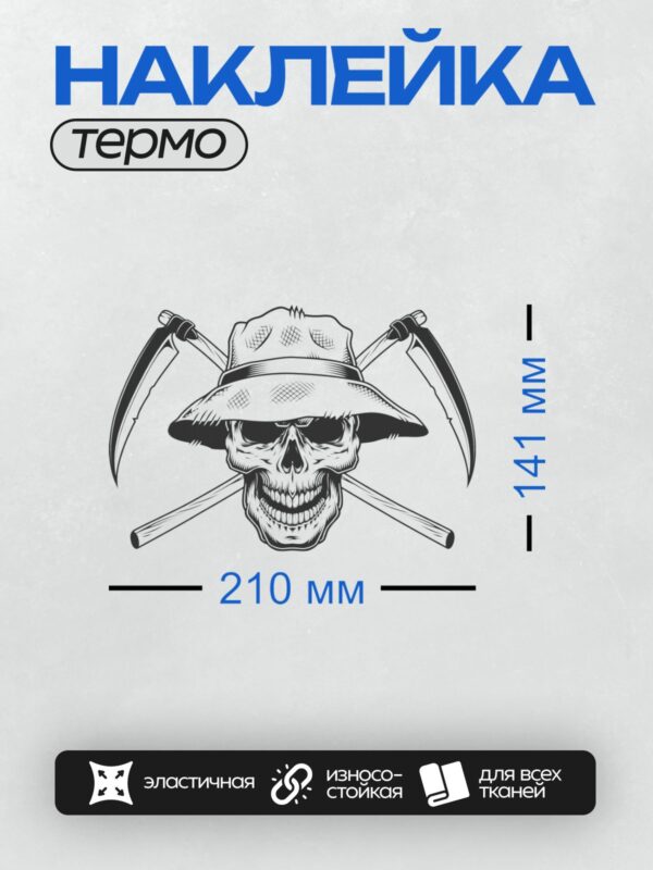Термонаклейка на одежду DTF / Череп в шляпе с перекрещенными кирками.