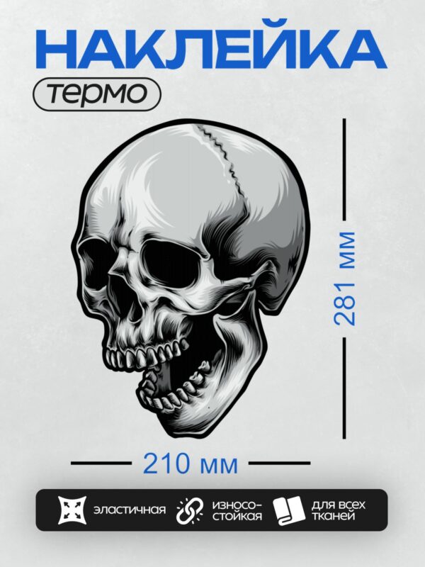 Термонаклейка на одежду DTF / Черно-белый череп с трещиной на лбу.