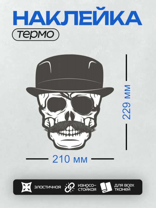 Термонаклейка на одежду DTF / Череп в шляпе с усами и повязкой на глазу.