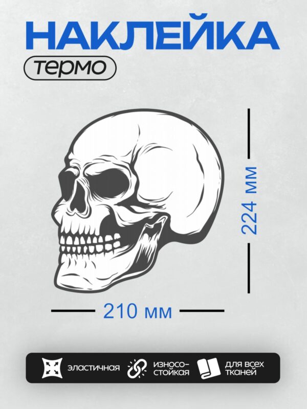 Термонаклейка на одежду DTF / Черно-белый стилизованный череп в векторной графике.