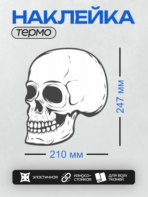 Термонаклейка на одежду DTF / Черно-белый стилизованный череп в профиль.