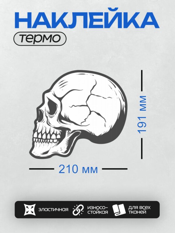 Термонаклейка на одежду DTF / Черно-белый стилизованный череп в профиль.
