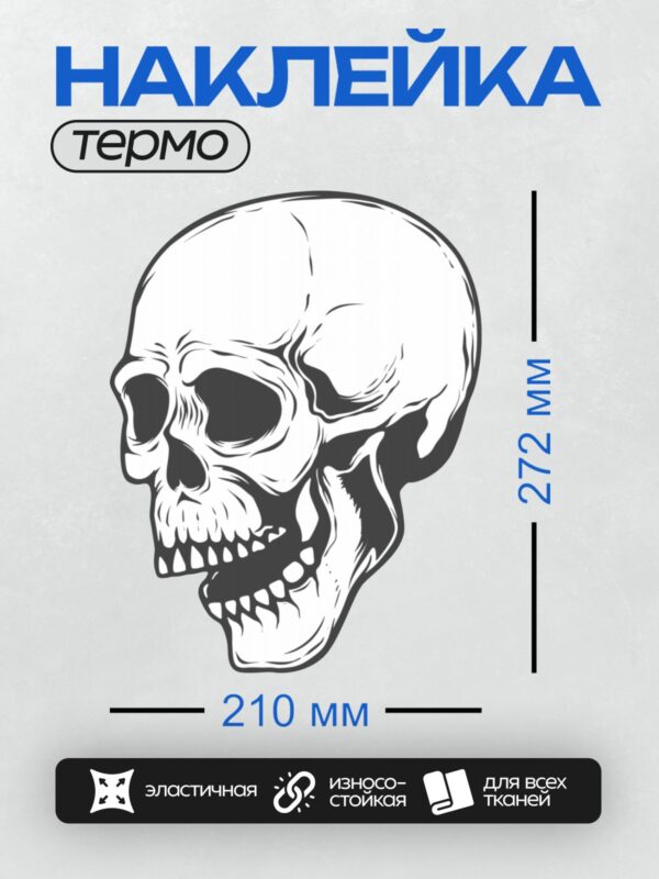 Термонаклейка на одежду DTF / Черно-белый стилизованный череп в профиль.