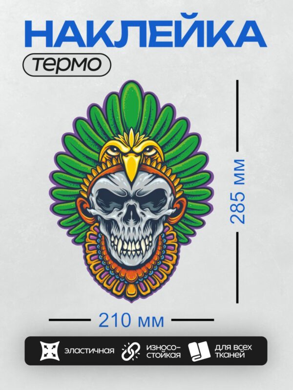 Термонаклейка на одежду DTF / Череп индейца с орлом и ожерельем, яркие перья.