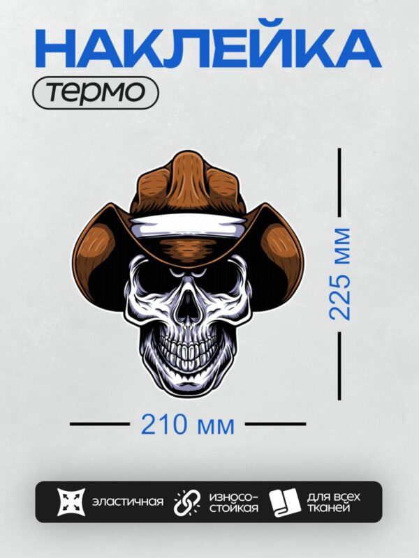 Термонаклейка на одежду DTF / Череп в ковбойской шляпе с яркими деталями.