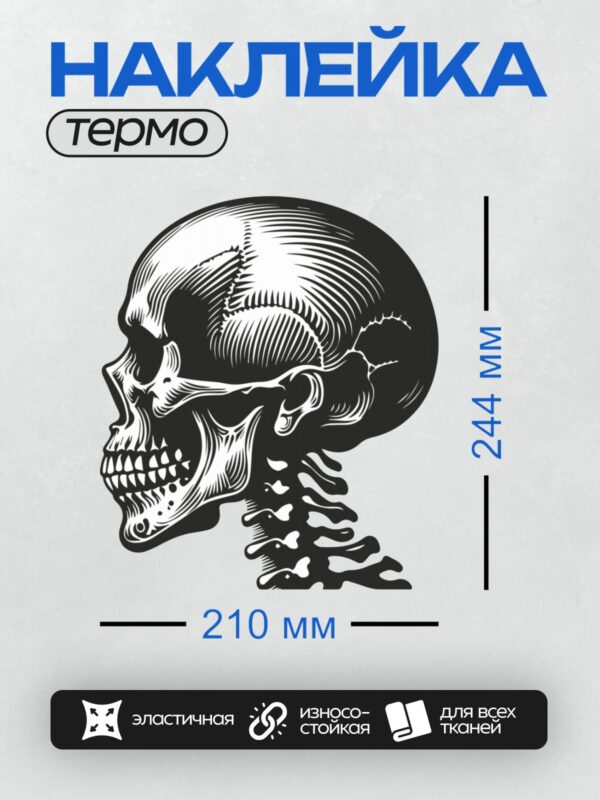 Термонаклейка на одежду DTF / Череп в профиль с шейными позвонками, детализированный.