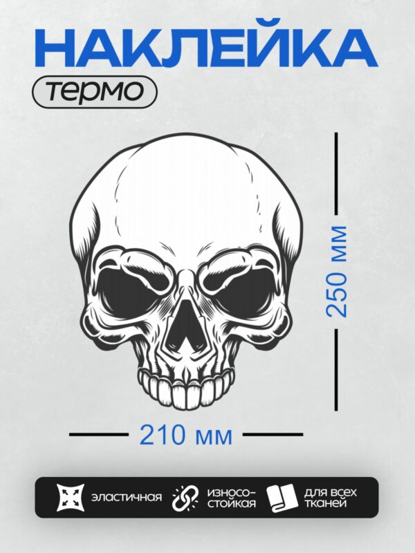 Термонаклейка на одежду DTF / Череп в стиле гравюры с четкими черными линиями.