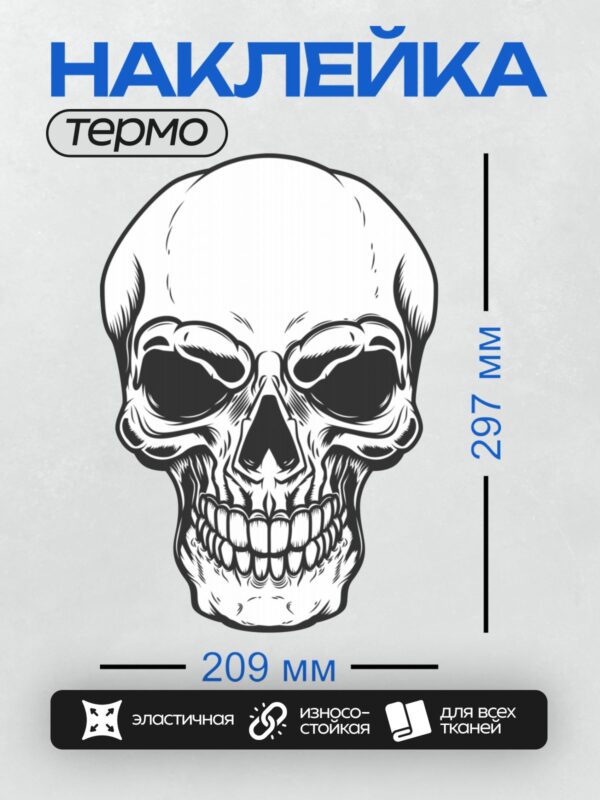 Термонаклейка на одежду DTF / Стилизованный череп в черно-белой гамме.