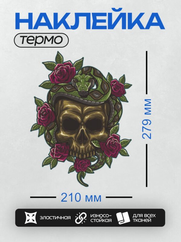Термонаклейка на одежду DTF / Череп, змея, красные розы — символ жизни и смерти.