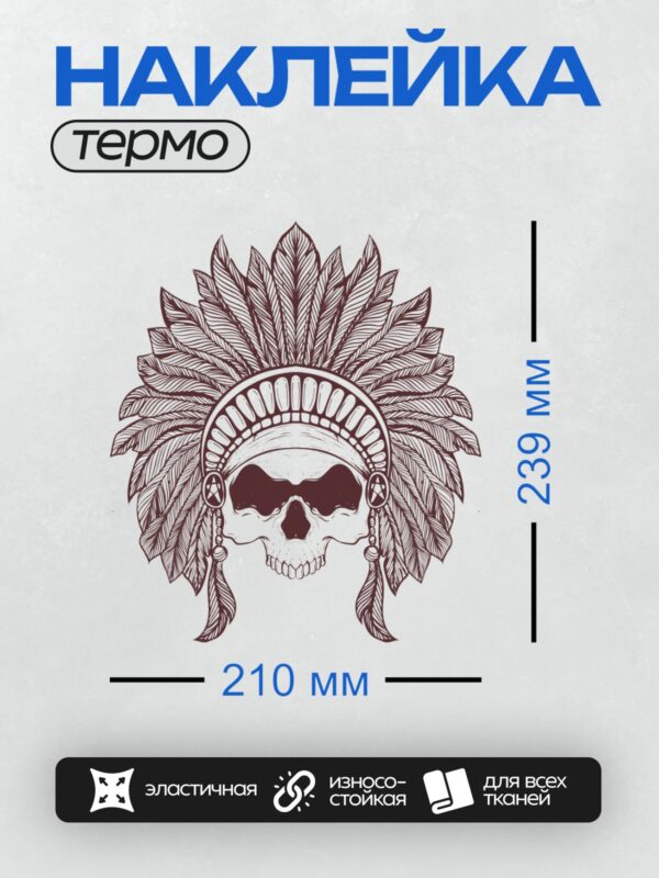 Термонаклейка на одежду DTF / Череп в индейском головном уборе с перьями.