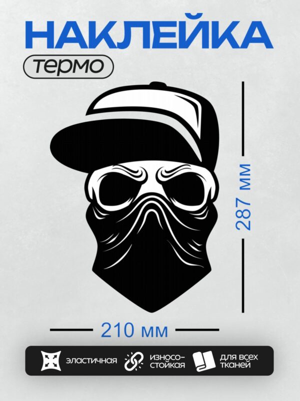 Термонаклейка на одежду DTF / Череп в кепке, бандане и стильных очках.
