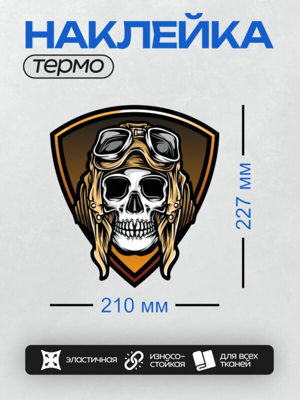 Термонаклейка на одежду DTF / Череп в шлеме лётчика с очками, стилизованный.