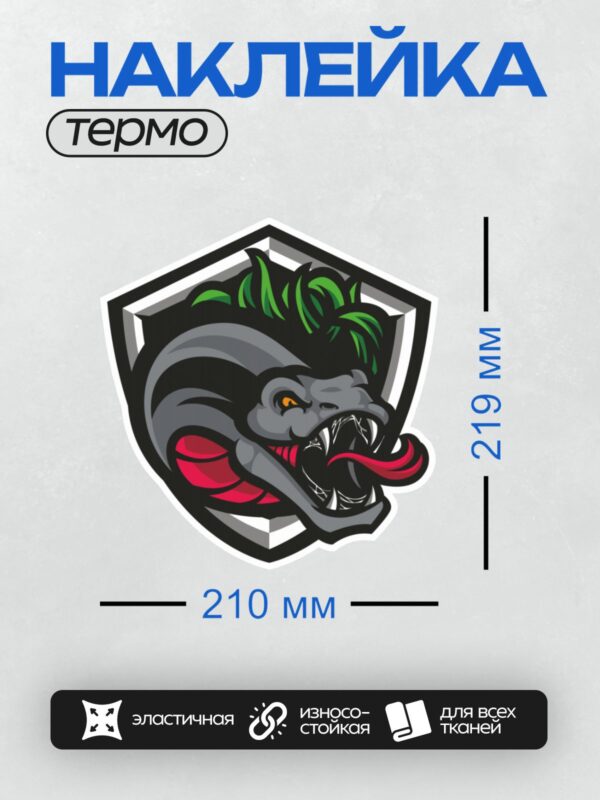 Термонаклейка на одежду DTF / Мультяшная змея с зелёными волосами на щите.