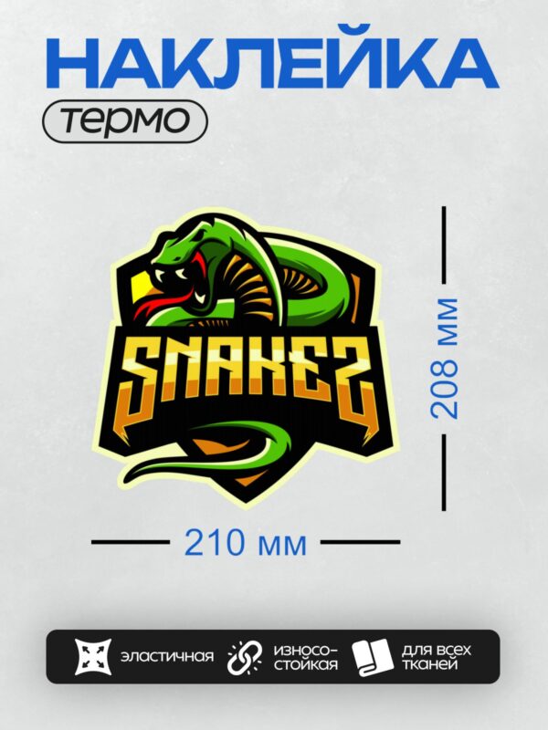 Термонаклейка на одежду DTF / Мультяшная змея с надписью "Snakez", яркая и динамичная.