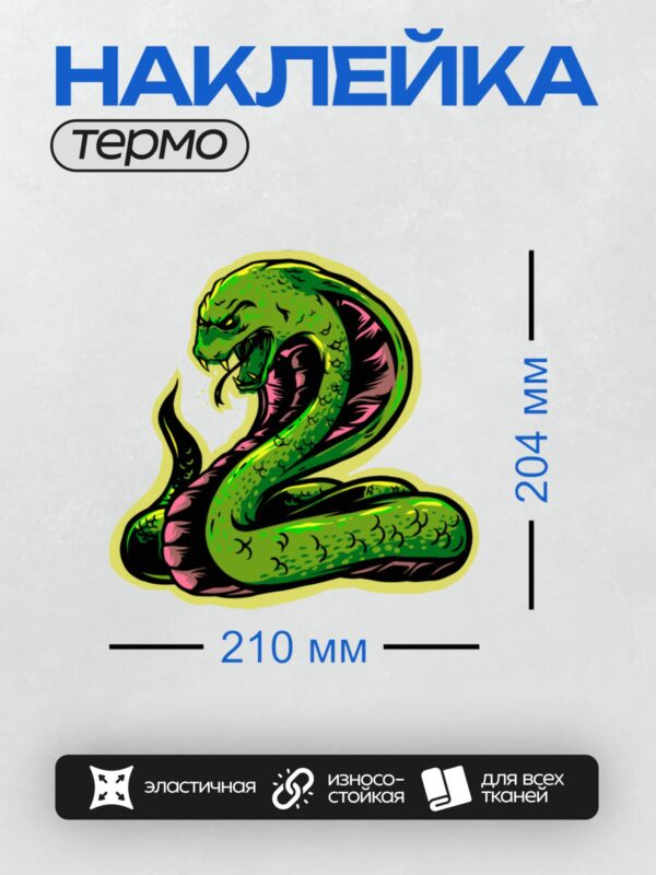 Термонаклейка на одежду DTF / Стилизованная зелёная змея с яркими пятнами, свернувшаяся кольцом.