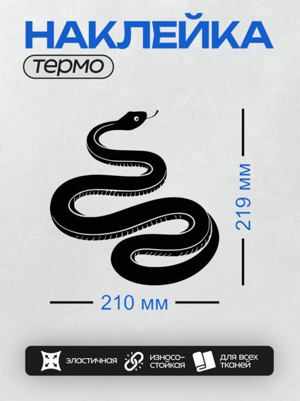 Термонаклейка на одежду DTF / Черно-белая змея в минималистичном стиле.