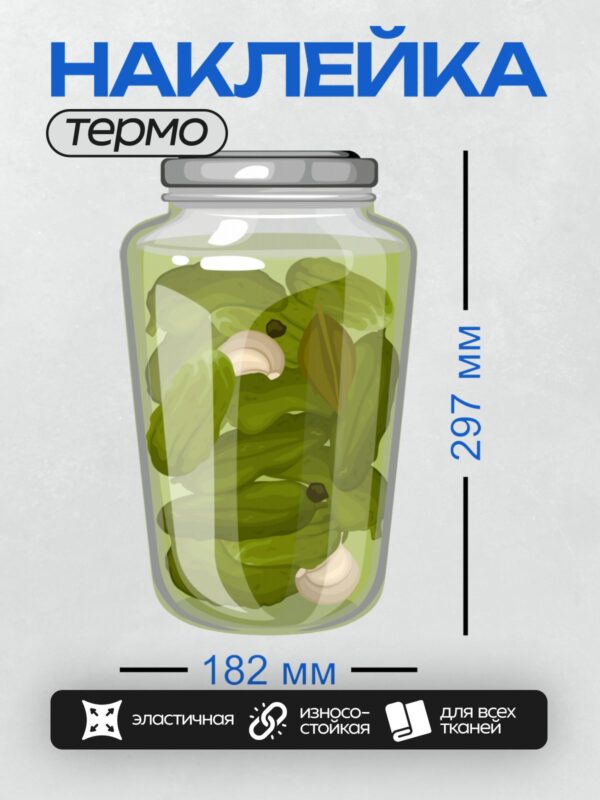 Термонаклейка на одежду DTF / Банка с маринованными огурцами, чесноком, лавровым листом и перцем горошком.