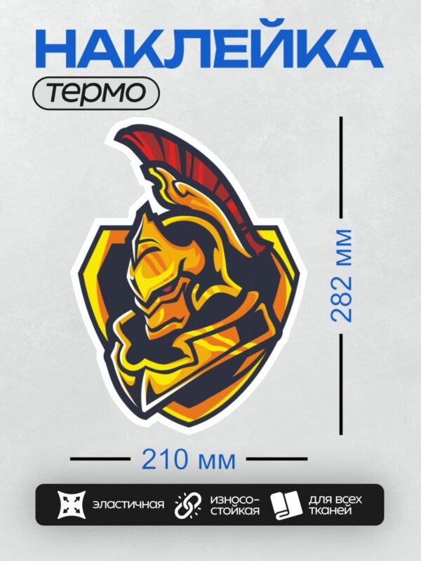Термонаклейка на одежду DTF / Стилизованный спартанский шлем с яркими цветами.