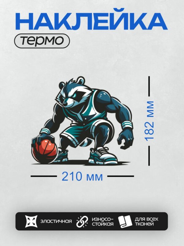 Термонаклейка на одежду DTF / Мультяшный енот в спортивной форме с баскетбольным мячом.