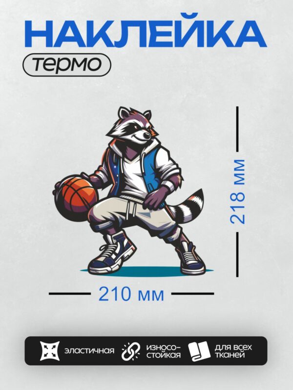 Термонаклейка на одежду DTF / Мультяшный енот в спортивной одежде с баскетбольным мячом.