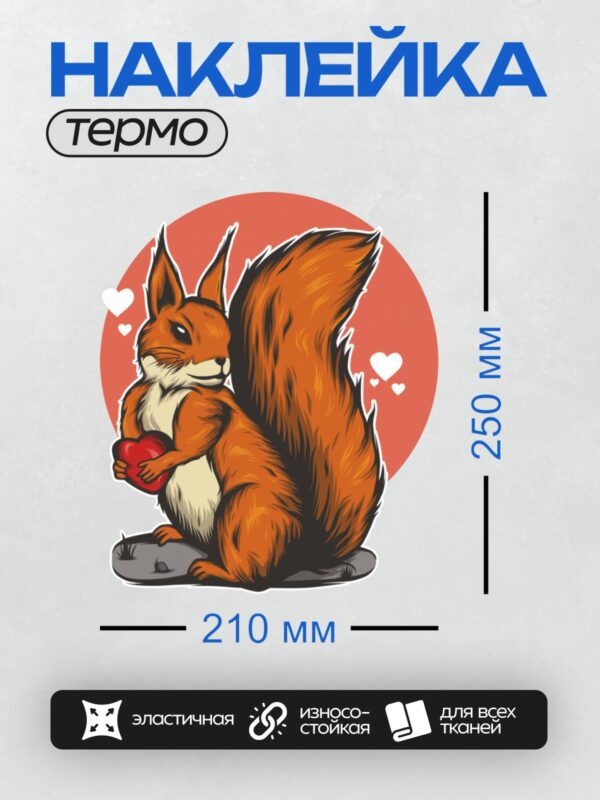 Термонаклейка на одежду DTF / Мультяшная белка держит красное сердце.