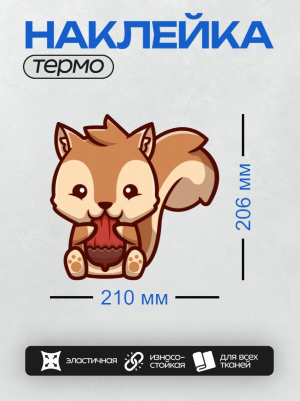 Термонаклейка на одежду DTF / Милая мультяшная белка держит орех в лапках.