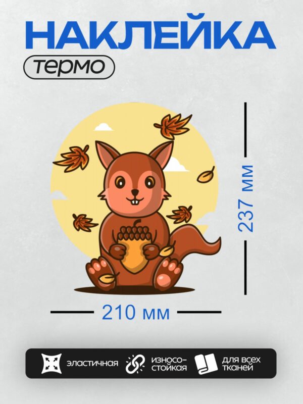 Термонаклейка на одежду DTF / Милая мультяшная белка с орехом в лапках.