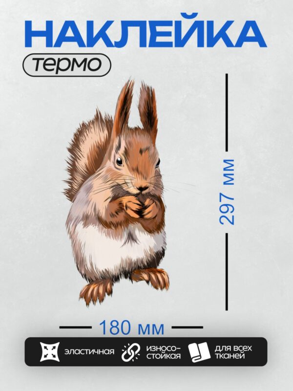 Термонаклейка на одежду DTF / Мультяшная белка с пушистым хвостом и орехом в лапках.