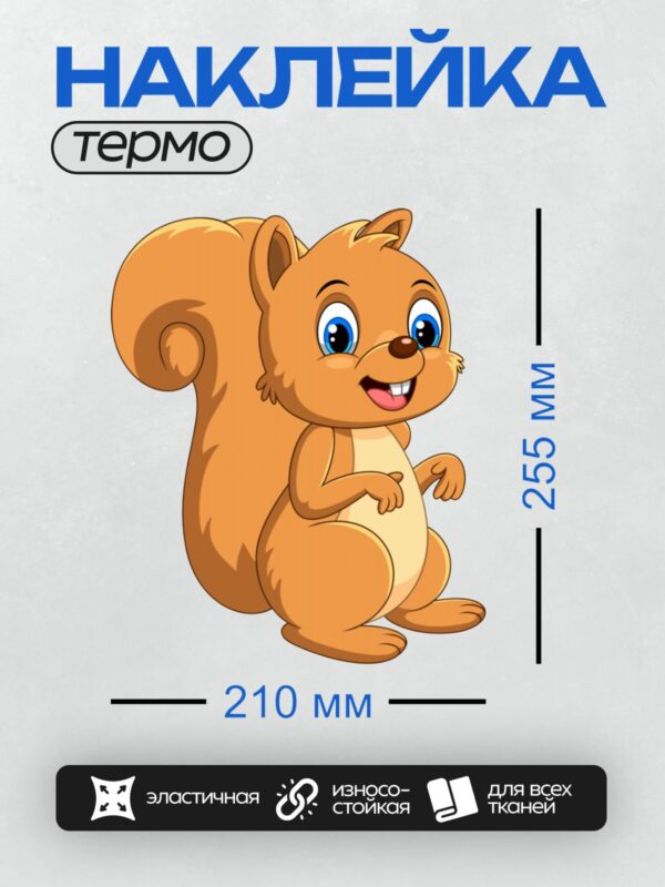Термонаклейка на одежду DTF / Мультяшная белка с большими глазами и пушистым хвостом.