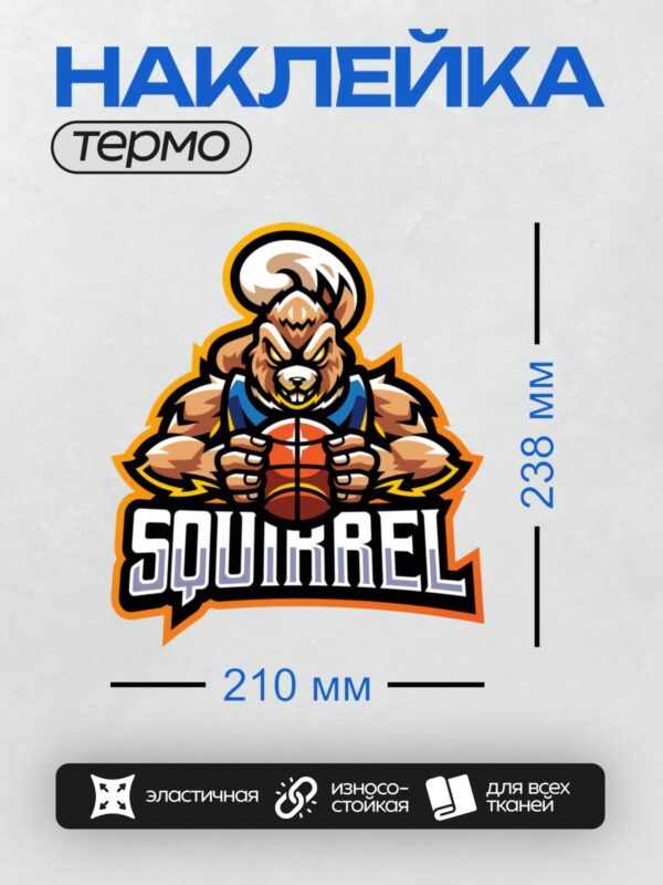 Термонаклейка на одежду DTF / Мускулистая белка с баскетбольным мячом и надписью "SQUIRREL".