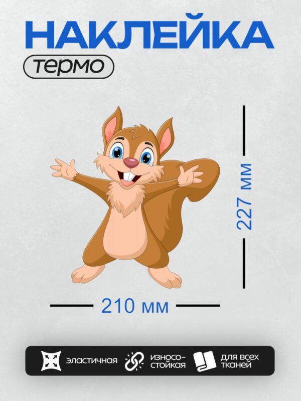 Термонаклейка на одежду DTF / Мультяшная белка с большими глазами и орехом в лапках.