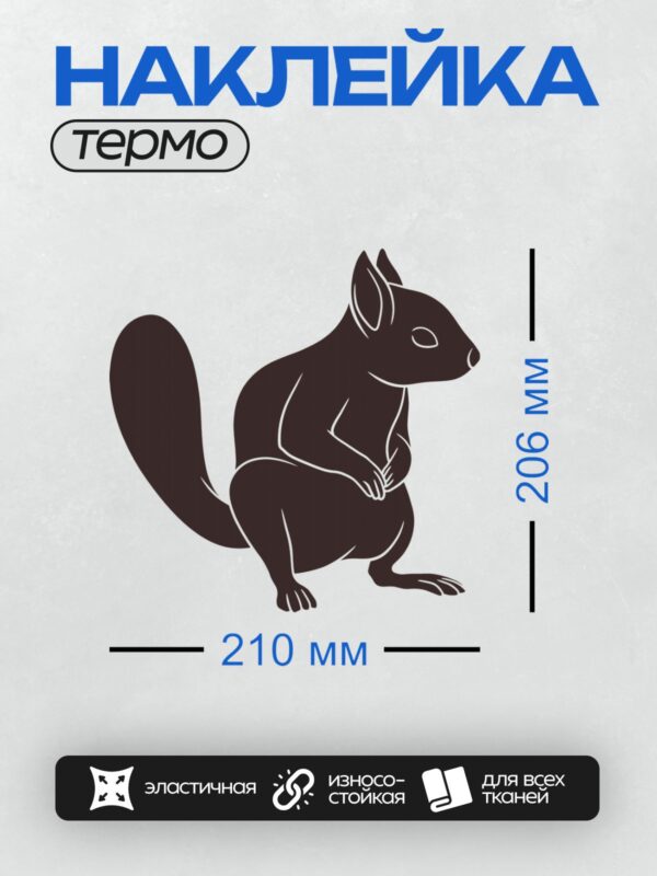 Термонаклейка на одежду DTF / Мультяшная белка с орехом в лапках, черный силуэт.