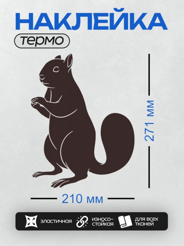 Термонаклейка на одежду DTF / Черный силуэт белки, сидящей на задних лапках.