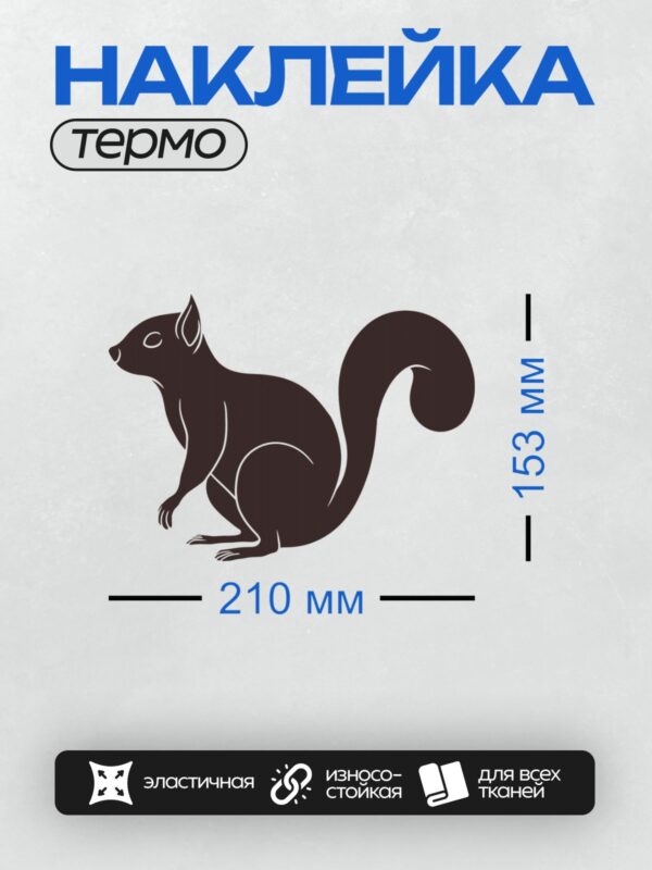 Термонаклейка на одежду DTF / Силуэт белки с пушистым хвостом на белом фоне.