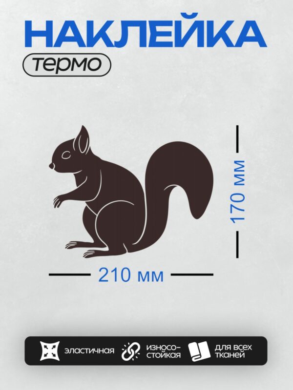 Термонаклейка на одежду DTF / Черный силуэт белки, сидящей на задних лапах.