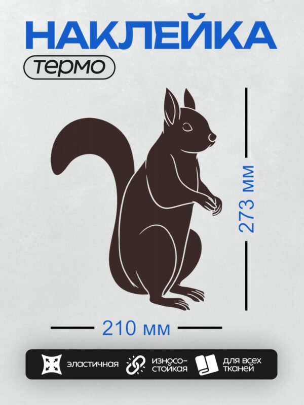 Термонаклейка на одежду DTF / Силуэт белки с пушистым хвостом на белом фоне.