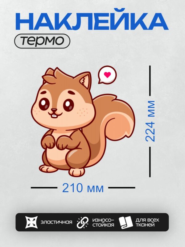 Термонаклейка на одежду DTF / Милая мультяшная белка с большими глазами и пушистым хвостом.