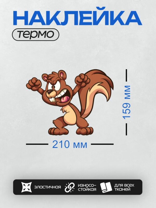 Термонаклейка на одежду DTF / Мультяшная белка с пушистым хвостом и большими глазами.